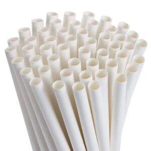 Paper Straw